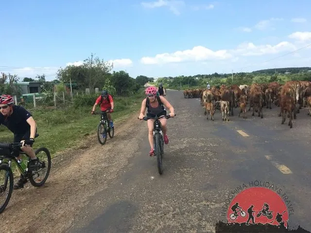 3 daysLuang Prabang Free and Easy Cycling Tour