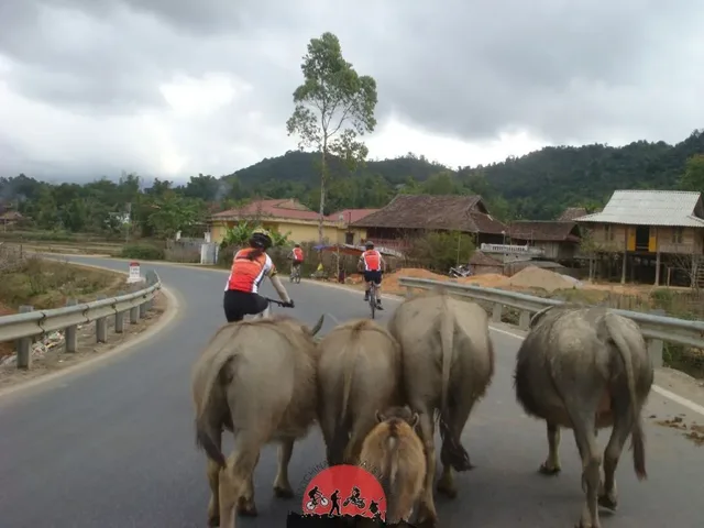 Pakse Cycling Holiday - 7 Days 1